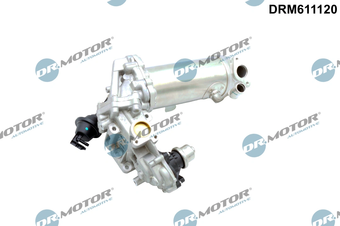 EGR Valve
